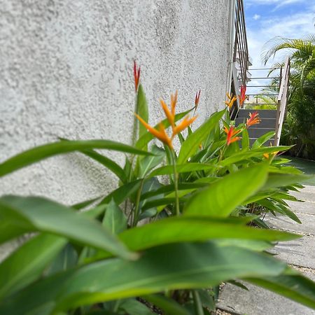 Seasons Break Apartment Pereybere Pereybere Beach Екстер'єр фото